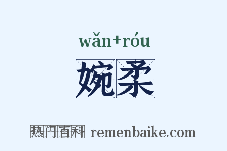 婉柔是什么意思的图片